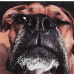 @allie_jane_beaman - Instagram
