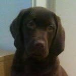 Janet Beaman - @jan_beaman43 - Instagram