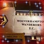 Jane Beare - @jane.beare.7 - Instagram