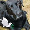 Jayne Beare - @jayne.beare - TikTok