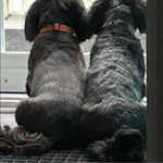 Mary Jane Beaton Morrison - @mjm4104 - Instagram