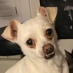 Helen Jane Beaudette - @raisin.helen - Instagram