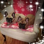 Jane Beaudry - @beaudry3447 - Instagram