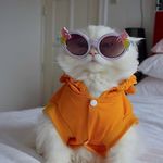 Sarah-Jane Beaudry - @sad_sardine - Instagram