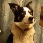 Jane Beaumont - @jane.beaumont.127 - Instagram