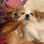Jane Beaumont - @janegrindleybrook - Instagram