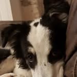 Jane Beaumont - @jane.beaumont9 - Instagram