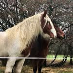 Jane Beaumont - @beaumont9425 - Instagram