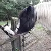 janebedford410 - @janebedford410 - TikTok