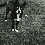 Hailey Jane Beebe - @haileyjanebeebe - Instagram