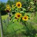 Jane Beebe-Marshall - Facebook