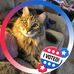 Janet Beebe - Facebook