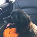 Bellamy Jane - @bellamyjaneauld - Instagram