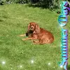 Jane Bellamy - @jane.bellamy3 - TikTok