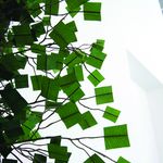 Jane Benson - @janebensonstudio - Instagram