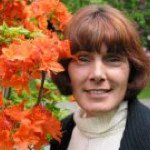 Jane Bendall - @janebendall - Instagram