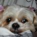 Jane Benfield - Facebook