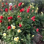 Janet Benfield - @benfield_janet - Instagram
