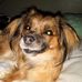 Janet Benfield - Facebook