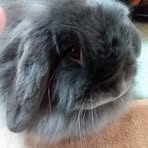 Jane Benger - Facebook