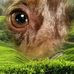 Jane Pennington - Facebook