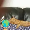 Jean Bennion - @jean.bennion - TikTok