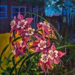 Jane Berglund - Facebook