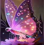 Jenny Berglund - Facebook