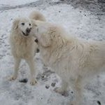 Jan-Erik Bergström - @janerik.bergstrom - Instagram