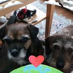 Jane Bergström - @janebergstrom10 - Instagram