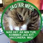 Jane Bergström - @bergstrom2193 - Instagram