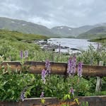 Jane Bergstrøm - @janembergstrom - Instagram