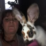 Jane Bicknell - @knittingbean1e - Instagram