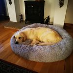 Jane Bird - @jbirdathome - Instagram