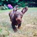 Jane Blackburn - Facebook