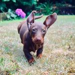 Jane Blackburn - @jane.blackburn7 - Instagram