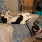 Jane Blake - @jane.blake.73157 - Instagram