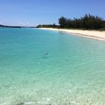 Jane Blake - @janeblake141 - Instagram