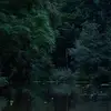 Jane blake - @janeblake_00 - TikTok