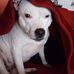 Jane Blanchette - Facebook