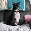 Janet Blanton - @user5839164482635 - TikTok