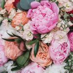 Jane Blume - @jblume.7308 - Instagram