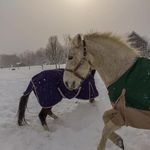 Jane Bohn - @bohn2962 - Instagram