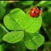Jane Boland - Facebook