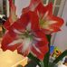 Jane Boland - Facebook