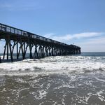 Jane Boland Forney - @janeforney - Instagram