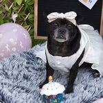 Nessa Jane Boland - @iampennythejug - Instagram