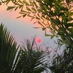 Jane Bonner - @janeflemo - Instagram