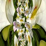 Mary Jane Borden - @cannabinart - Instagram