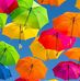 Janet Bosley - Facebook
